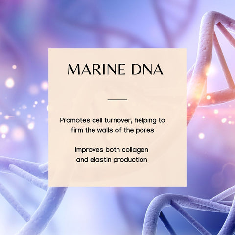 Secret de Beauté DNA Serum | Tightens pores 1 oz
