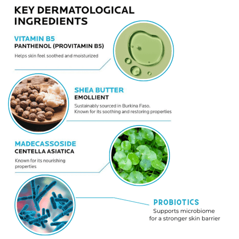 Infographic showing Cicalplast B5 main ingredients panthenol, shea butter and centelia