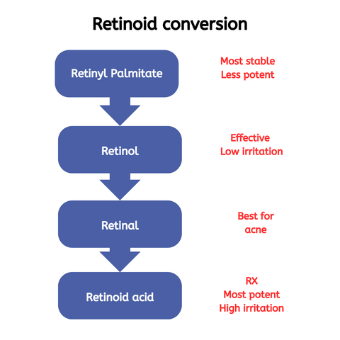Infographic on retinoid conversion