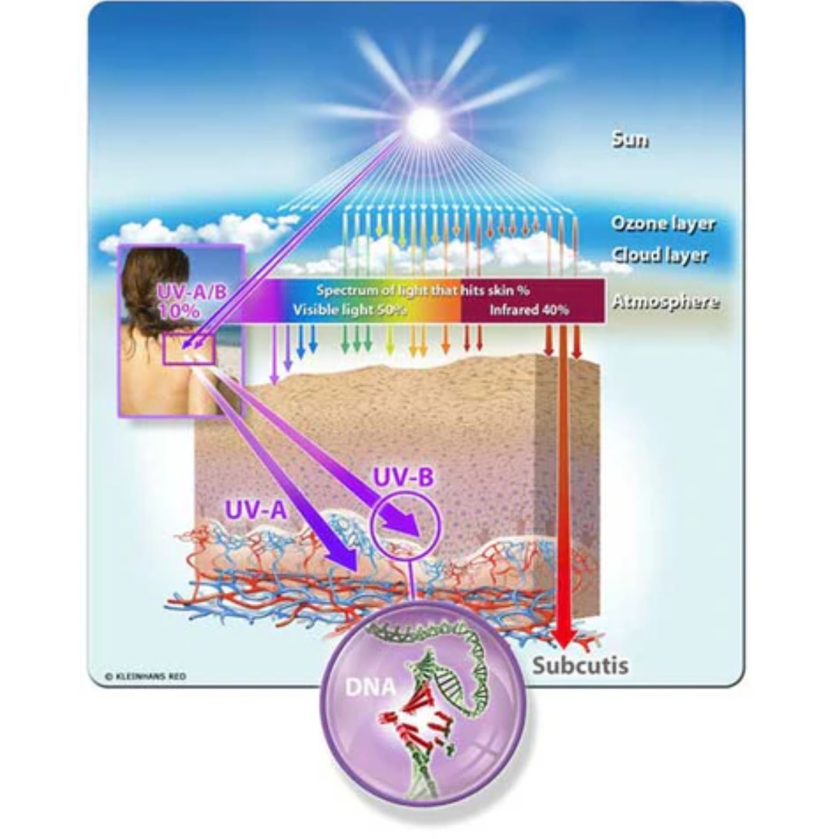 Taking the Sun Seriously: Staying Educated About Sun Protection