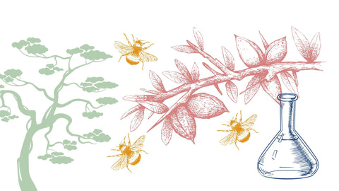 secret de beaute logo