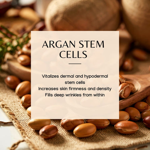 Secret de Beauté Argan stem cells Serum | Firm and Hydrate 1 oz