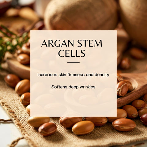 Secret de Beauté Neck, Décolleté, Thigh, Knees and Inner Arm Serum 4 oz