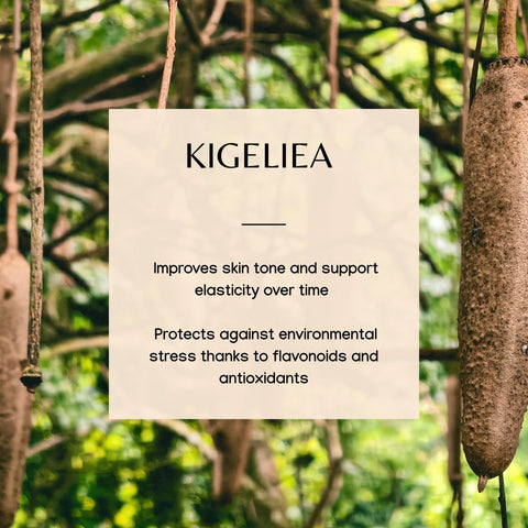 Secret de Beauté Neck, Décolleté, Thigh, Knees and Inner Arm Serum 4 oz