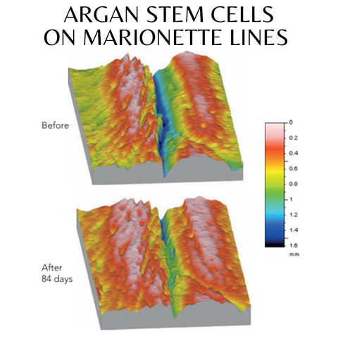 Secret de Beauté Argan stem cells Serum | Firm and Hydrate 1 oz